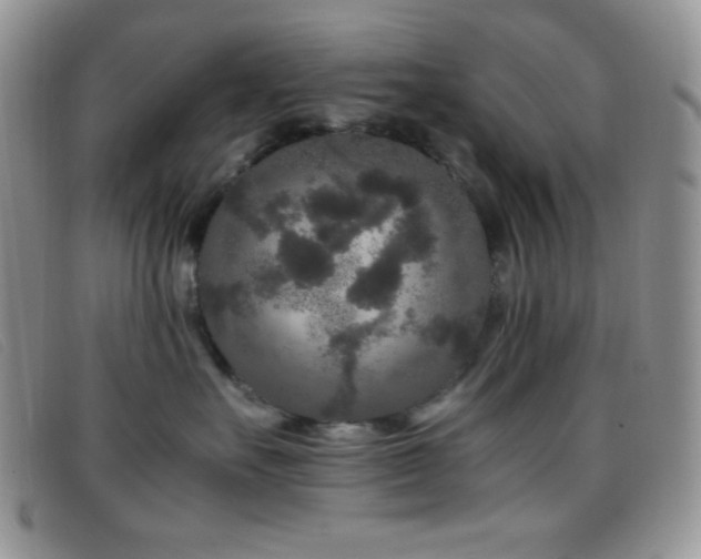 X0000096670527200802051225