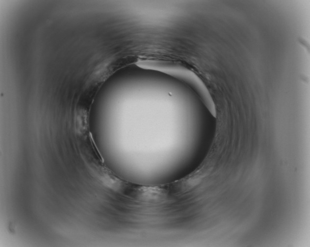 X0000096670528200802051225