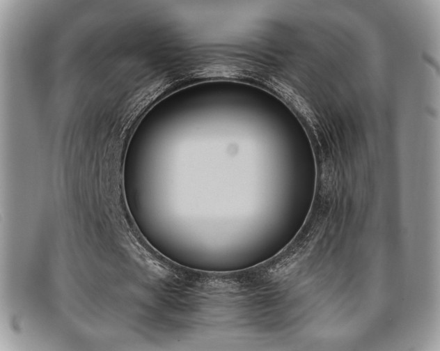 X0000096670529200802051225