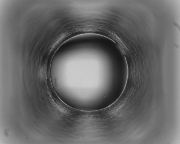 X0000096670530200802051225