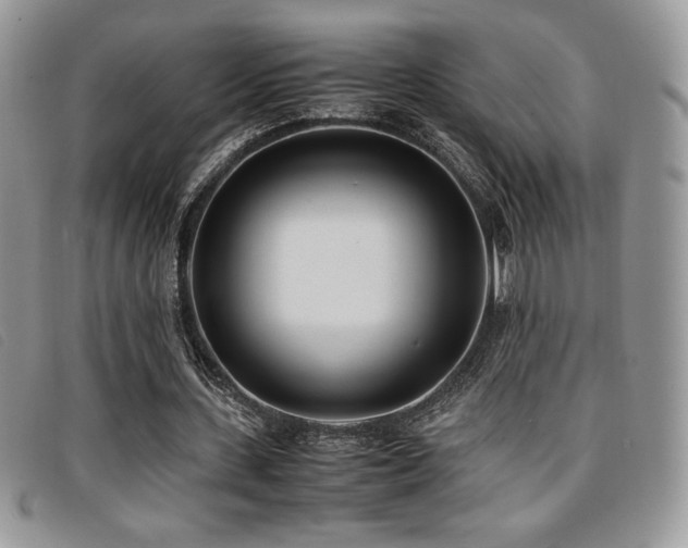 X0000096670531200802051225