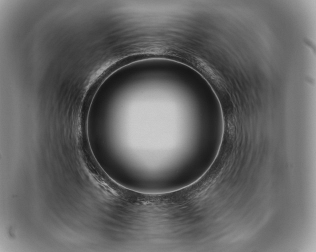 X0000096670532200802051225