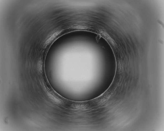 X0000096670533200802051225