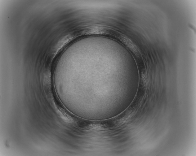 X0000096670534200802051225