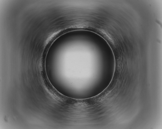X0000096670536200802051225