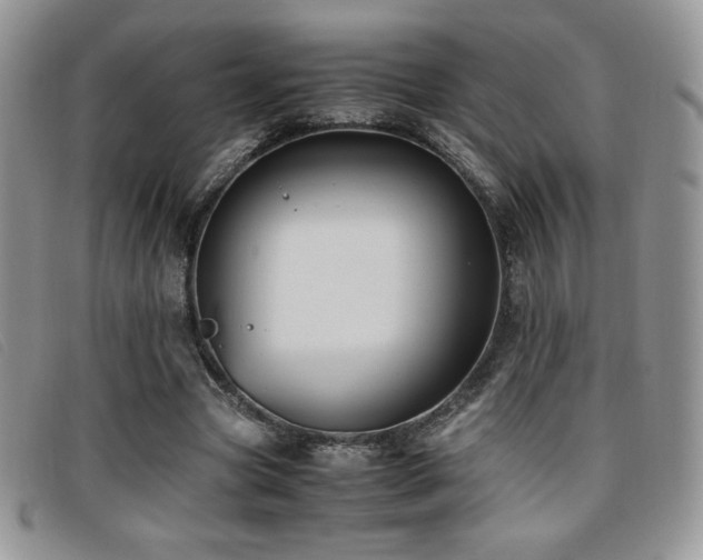 X0000096670537200802051225