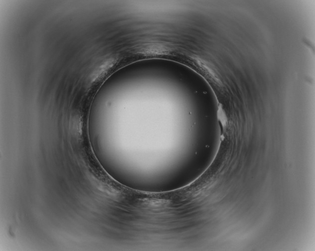 X0000096670539200802051225