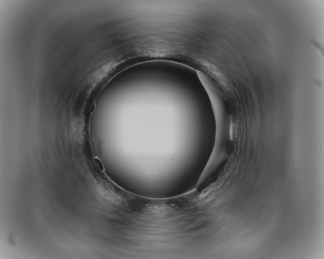 X0000096670540200802051225