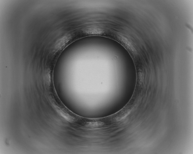 X0000096670541200802051225