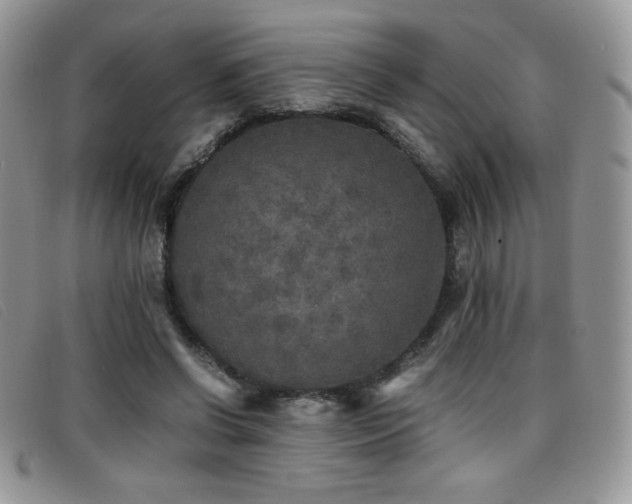 X0000096670542200802051225