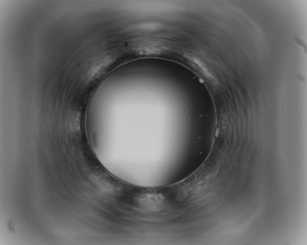 X0000096670543200802051225