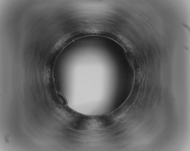 X0000096670544200802051225