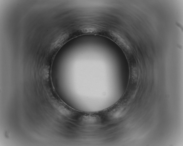 X0000096670545200802051225