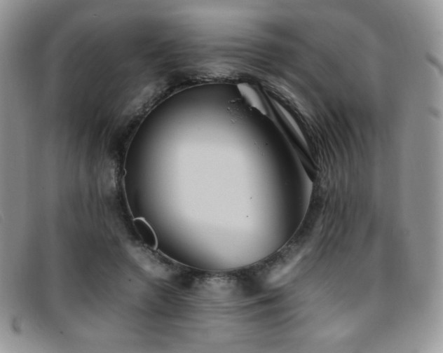 X0000096670546200802051225