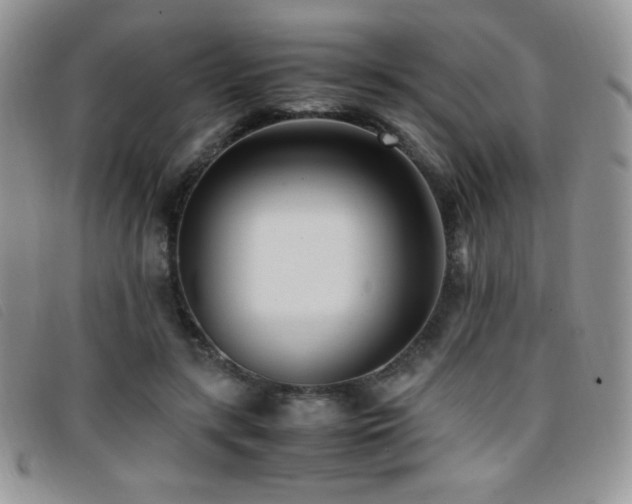 X0000096670547200802051225