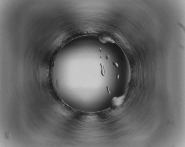 X0000096670548200802051225