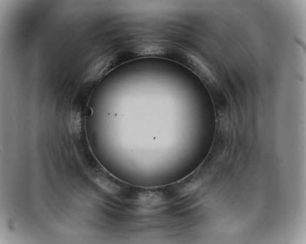 X0000096670549200802051225