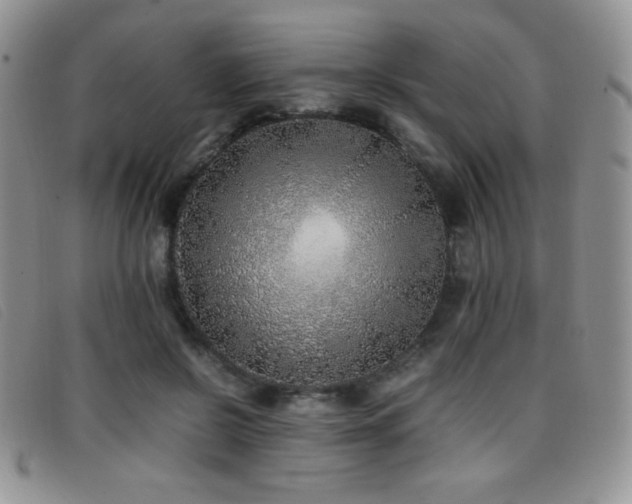 X0000096670550200802051225