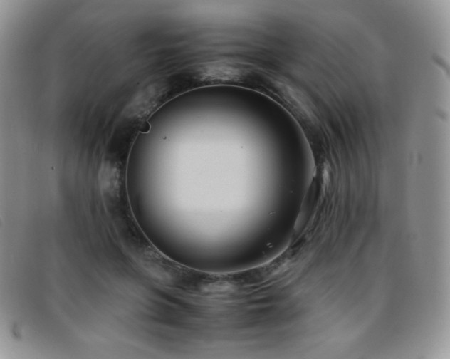 X0000096670551200802051225