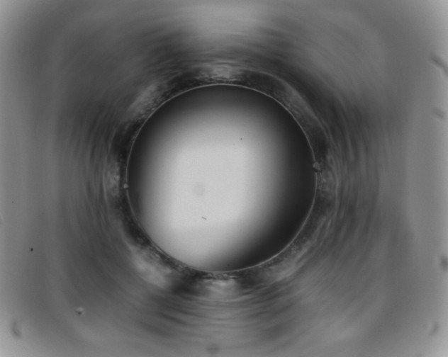 X0000096670552200802051225