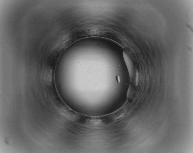 X0000096670554200802051225