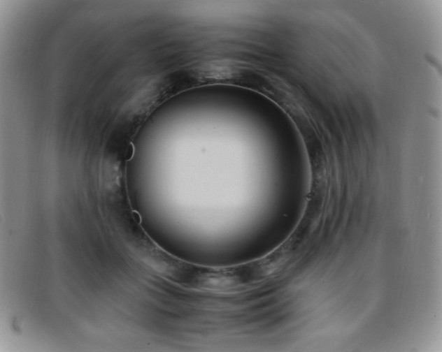 X0000096670555200802051225