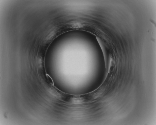 X0000096670556200802051225