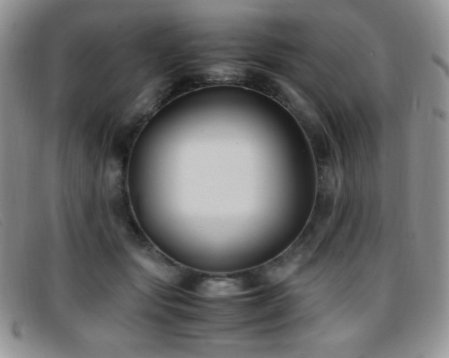 X0000096670557200802051225