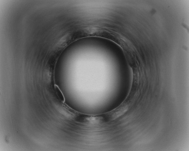 X0000096670558200802051225
