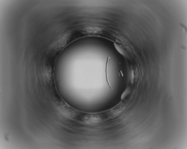 X0000096670559200802051225