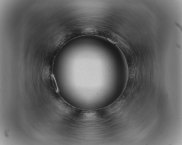 X0000096670560200802051225
