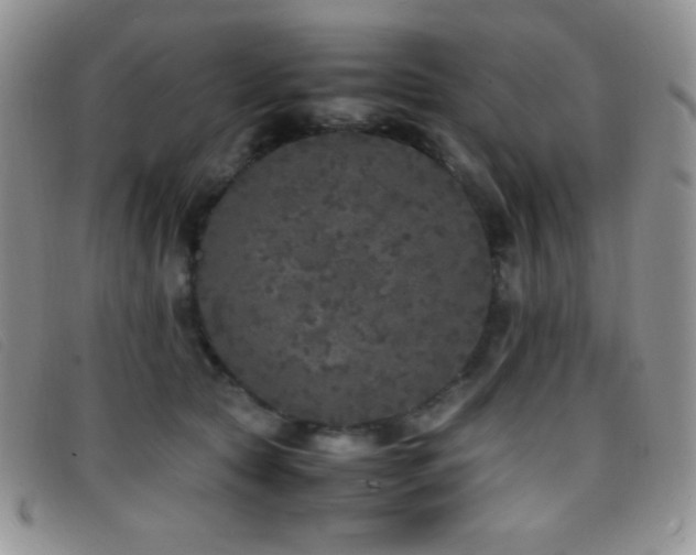 X0000096670561200802051225