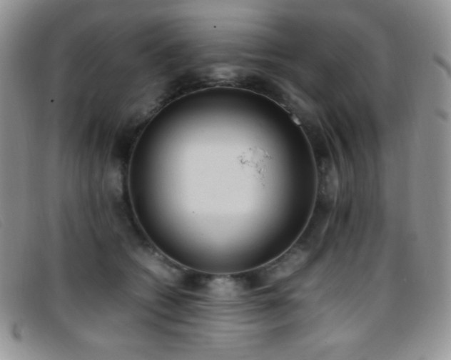 X0000096670562200802051225