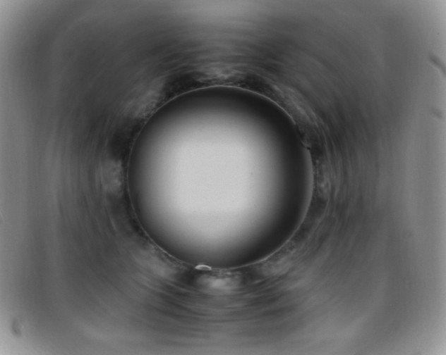 X0000096670563200802051225