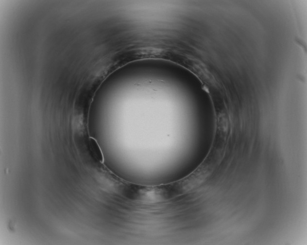 X0000096670564200802051225