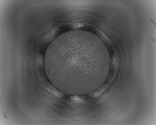 X0000096670565200802051225