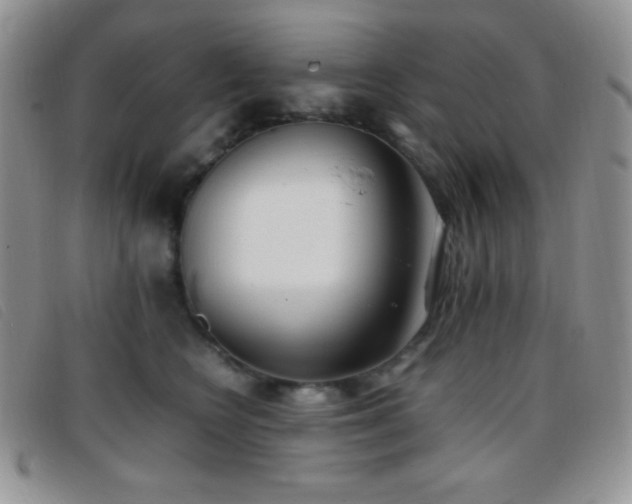 X0000096670566200802051225