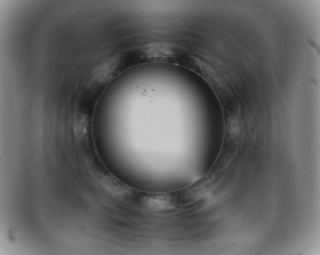 X0000096670567200802051225
