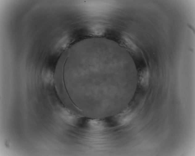 X0000096670568200802051225