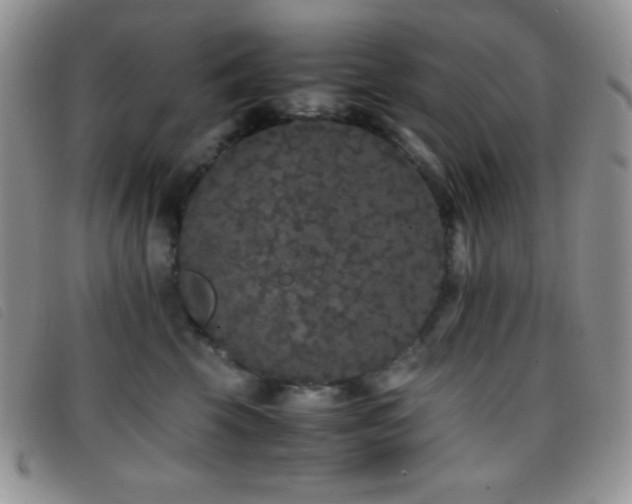 X0000096670569200802051225