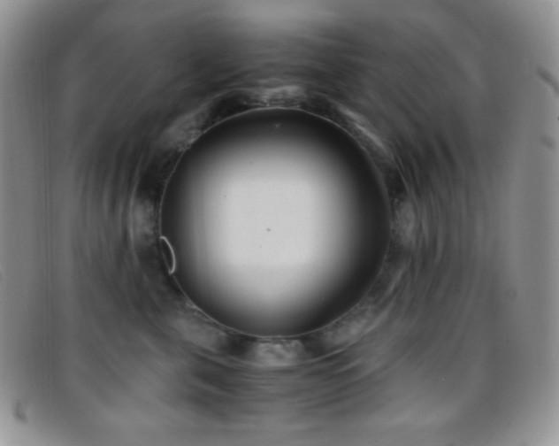 X0000096670571200802051225
