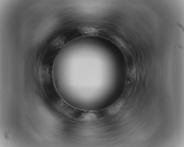 X0000096670572200802051225