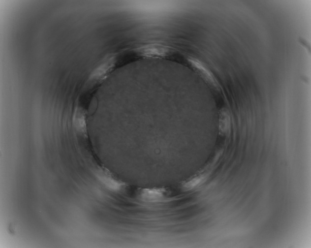X0000096670573200802051225