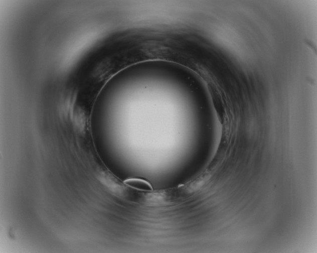 X0000096670574200802051225