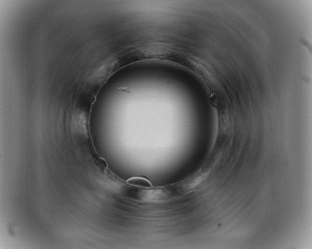 X0000096670575200802051225