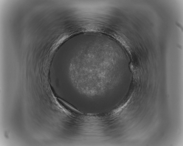 X0000096670577200802051225
