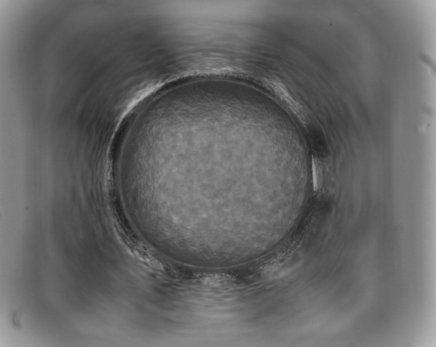 X0000096670579200802051225
