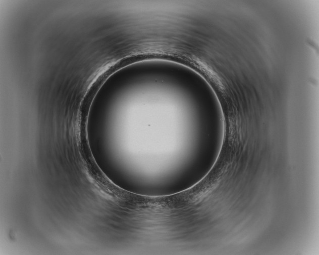 X0000096670580200802051225