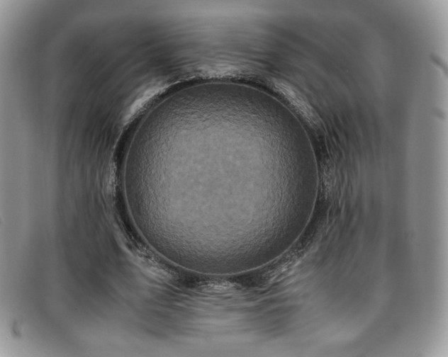 X0000096670583200802051224