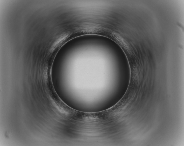 X0000096670586200802051224